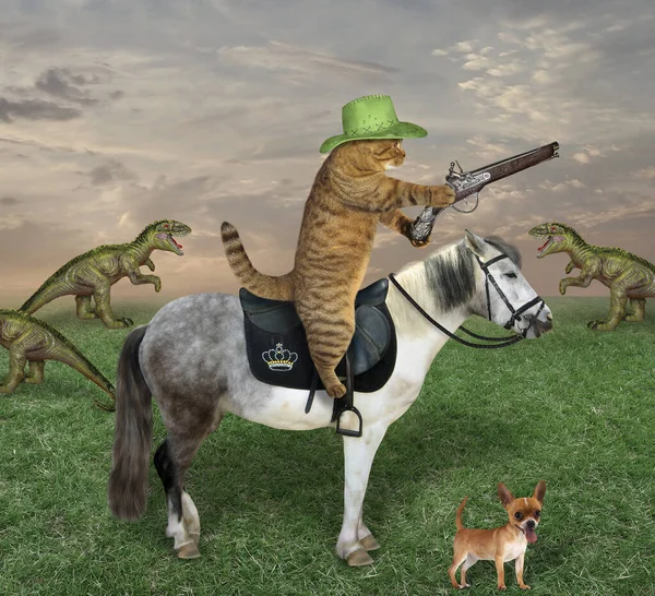 Kovboy Şapkalı Bej Kedi Köpeği Çiftlikte Bir Dinozor Sürüsünü Otlatıyorlar — Stok fotoğraf