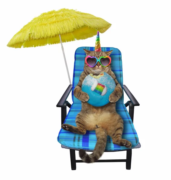 Beige Cat Unicorn Heart Shaped Sunglasses Sitting Blue Beach Chair — Stock Photo, Image