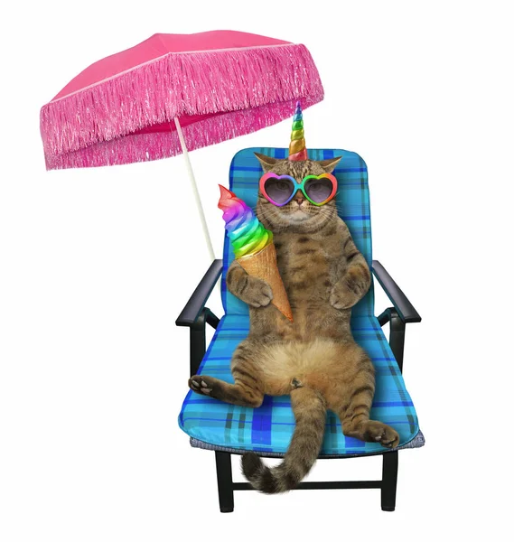 Beige Cat Unicorn Heart Shaped Sunglasses Sitting Blue Beach Chair — Stock Photo, Image