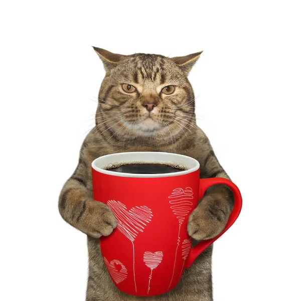 Beżowy Kot Trzyma Czerwoną Dużą Filiżankę Czarnej Kawy Białe Tło — Zdjęcie stockowe