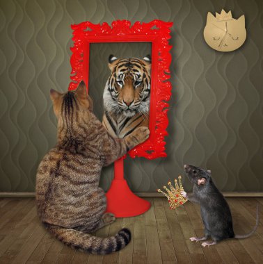 Bej kedi kırmızı kare aynada yansımasına bakıyor. Orada bir kaplan görüyor. Siyah bir sıçan ona altın bir taç verir..