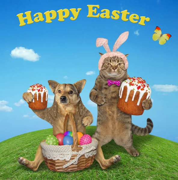 Beige Cat Pink Bunny Ears Dog Sitting Easter Cakes Wicker — Stock Photo, Image