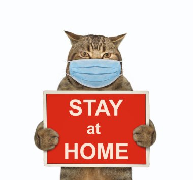 Cerrahi koruma maskeli bej kedi üzerinde yazı olan kırmızı bir tabela tutuyor. Coronavirus. Karantinaya alın. Beyaz arka plan. İzole edilmiş.