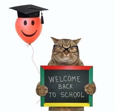 Gözlüklü bej renkli kedi elinde kare bir akademik şapkada kırmızı bir balon ve okula hoş geldin yazılı küçük bir karatahta tutuyor. Beyaz arka plan. İzole edilmiş.