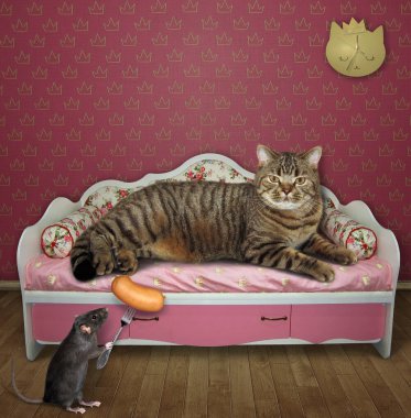 Bej kedi evdeki şık pembe bir kanepede yatıyor. Siyah sıçan ona çatallı sosisle davranır..