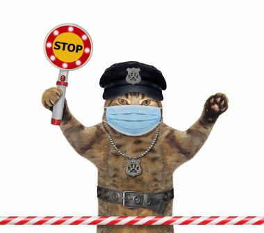 Cerrahi koruma maskeli bej kedi polis memuru dur işareti tutuyor. Karantinaya alın. Coronavirus. Beyaz arka plan. İzole edilmiş.
