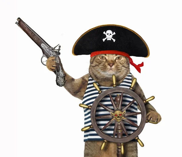 The beige cat in a pirate uniform with an antique flintlock pistol is at the helm of the ship. White background. Isolated.