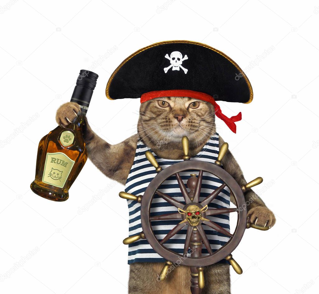 The beige cat in a pirate uniform with a bottle of rum is at the helm of the ship. White background. Isolated.