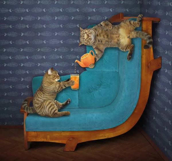 Két Bézs Macska Egy Ívelt Kanapén Narancslevet Iszik Otthon — Stock Fotó