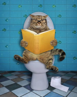 Gözlüklü bej kedi beyaz bir klozetin üzerinde oturuyor ve banyoda kitap okuyor..