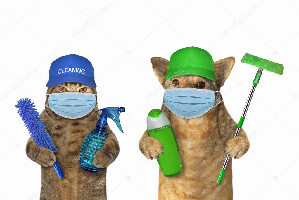 The dog and the cat in surgical protective face masks are cleaners holding sanitizers. Coronavirus. Quarantine. White background. Isolated.