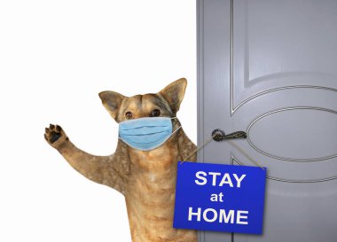 Cerrahi koruyucu maskeli bej köpek evinin kapısını kapatıyor. Kapıda bir tabela asılı duruyor. Coronavirus. Karantinaya alın. Beyaz arka plan. İzole edilmiş.