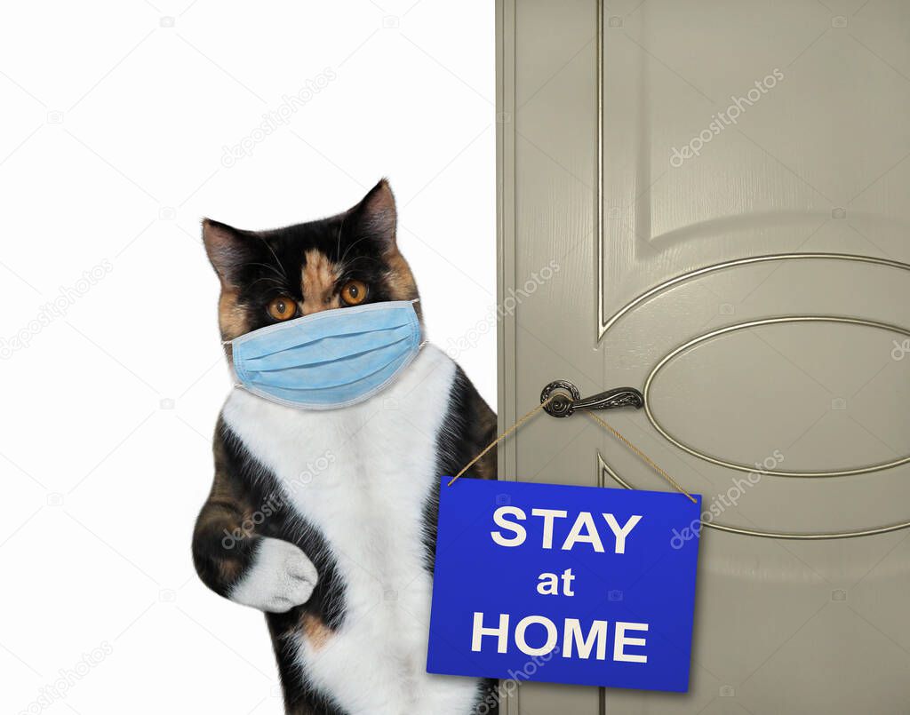 The multi colored cat in a surgical protective face masks closes a door of his house. A sign stay at home is hung on the door. Coronavirus. Quarantine. White background. Isolated.