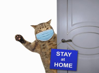Cerrahi koruyucu yüz maskeli bej kedi evinin kapısını kapatıyor. Kapıda bir tabela asılı duruyor. Coronavirus. Karantinaya alın. Beyaz arka plan. İzole edilmiş.