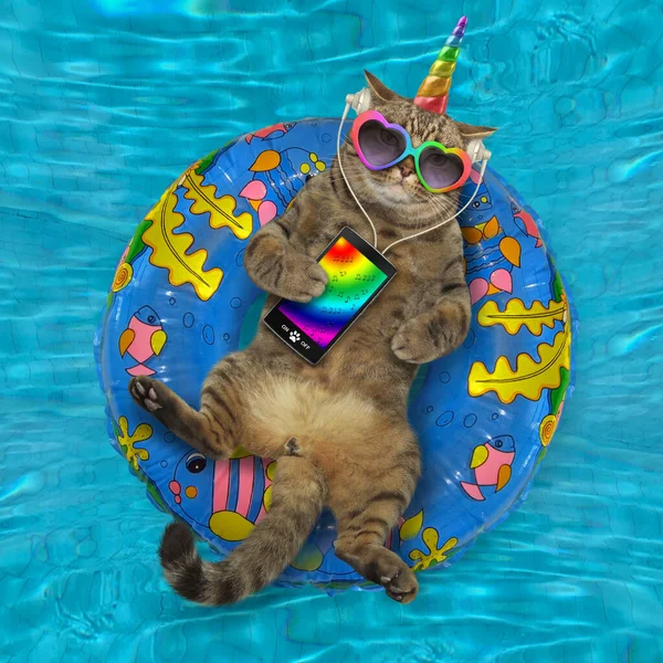 The beige cat unicorn in headphones and sunglasses with a smartphone is lying on an inflatable blue ring and listening to music in the swimming pool. Water background.