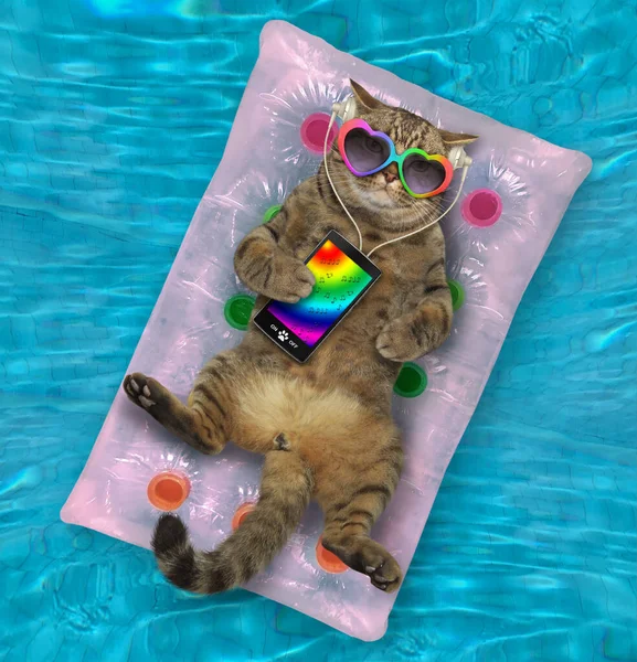 Beige Cat Headphones Heart Shaped Sunglasses Smartphone Lying Pink Air — Stock Photo, Image