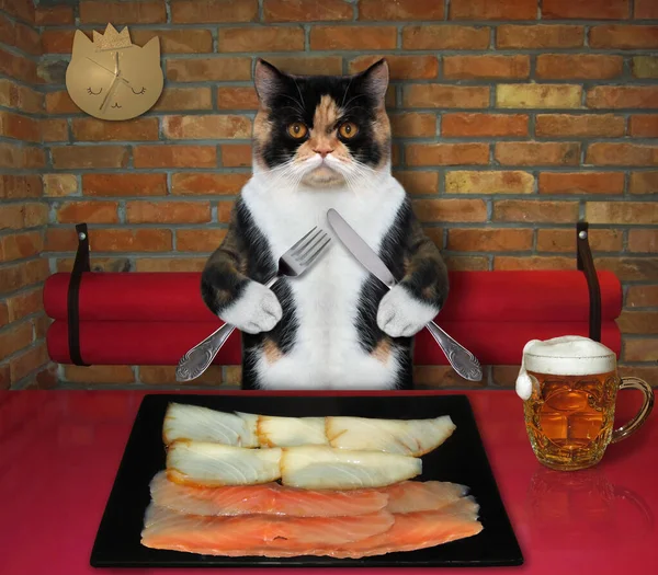 The multi colored cat with a knife and a fork is eating slices of smoked fish from a black square plate at a table in a restaurant.