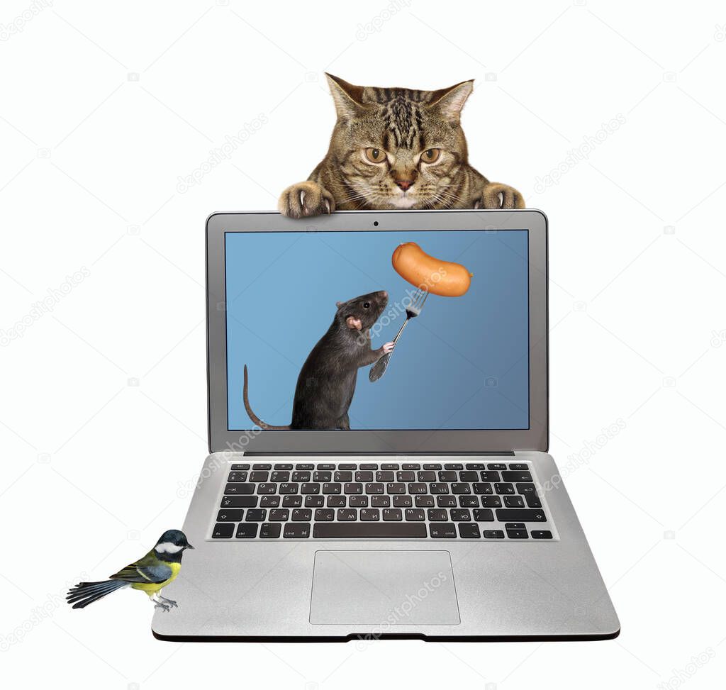 The black rat is coming out from the laptop screen and feeding the beige cat a sausage on a fork. A bird sits on a keyboard. White background. Isolated.