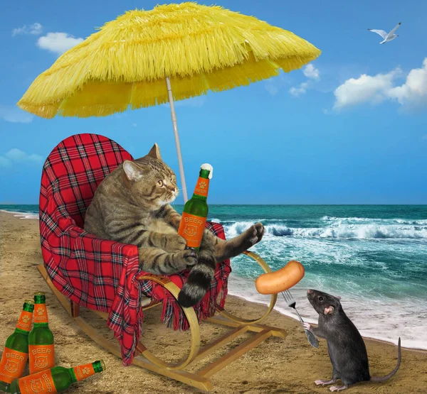 Béžová Kočka Houpacím Křesle Pije Pivo Pod Slaměným Deštníkem Mořské — Stock fotografie