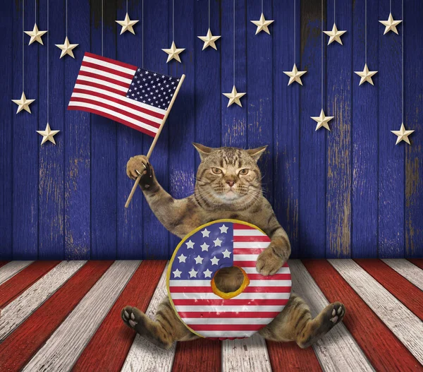 Die Beige Katze Patriot Sitzt Mit Einem Großen Amerikanischen Donut — Stockfoto