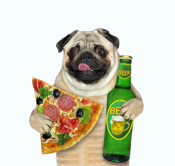 Beige Pughond Houdt Een Flesje Licht Bier Een Stuk Pizza — Stockfoto