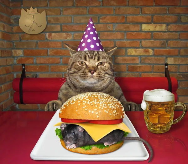 The beige cat in a green birthday hat is eating a big mouse burger from a white square plate at a table in a restaurant.