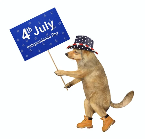 Beige Dog Patriot Walking Sign Which Says July Independence Day — Stock Photo, Image