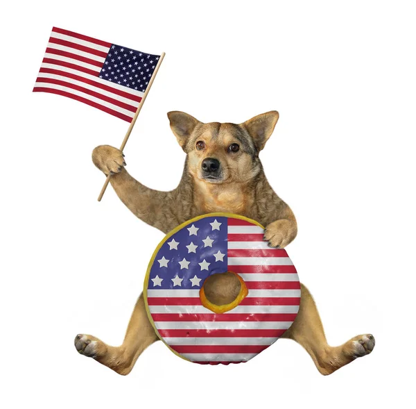 米色的狗爱国者和一个大的美国甜甜圈和美国国旗坐在一起 白色背景 被隔离了 — 图库照片