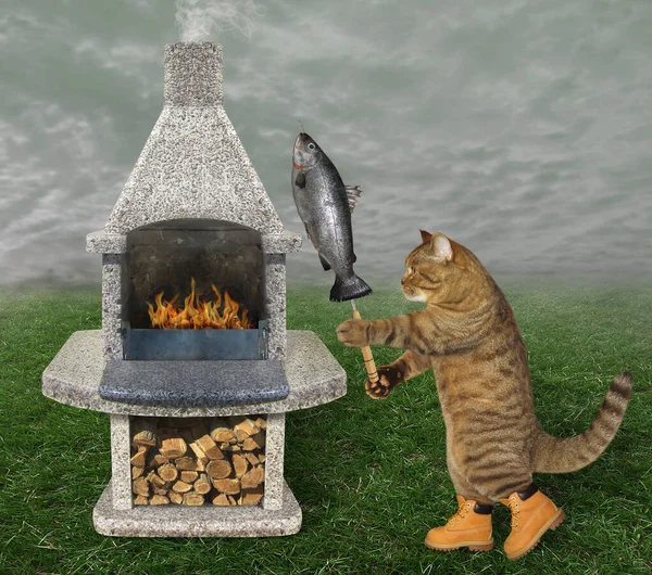 Gato Beige Botas Está Cocinando Pescado Parrilla Pincho Acero Una — Foto de Stock