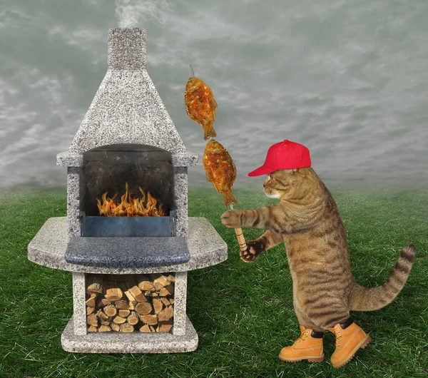 穿着红帽子和靴子的米色猫在野餐的时候 用石头烤架上的钢丝绳烤着烤鱼 — 图库照片