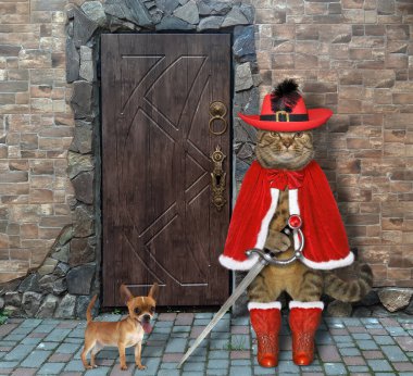 Kırmızı silahşör üniformalı bej bir kedi eski bir kalenin kapısını koruyor. Köpeği onun yanında.. 