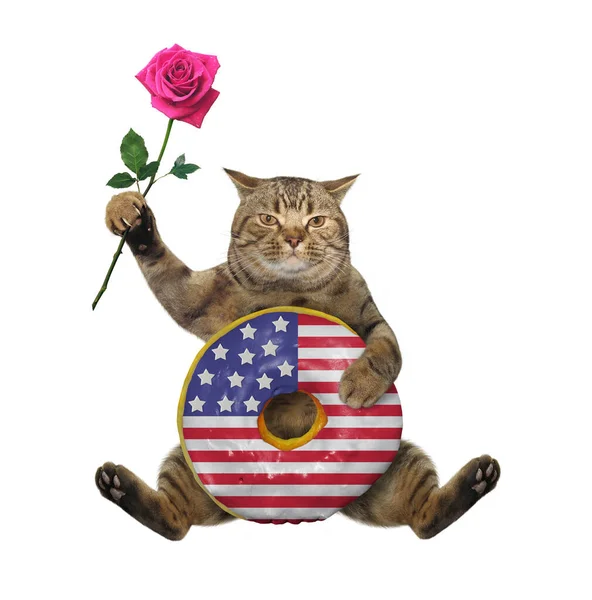 米色的猫爱国者与一个大的美国甜甜圈和粉红色的玫瑰坐在一起 白色背景 被隔离了 — 图库照片