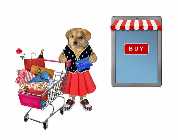 The beige dog in a dress with a credit card in his paw is pushing the metal shopping cart full of various goods. He is near a big tablet pc computer. White background. Isolated.