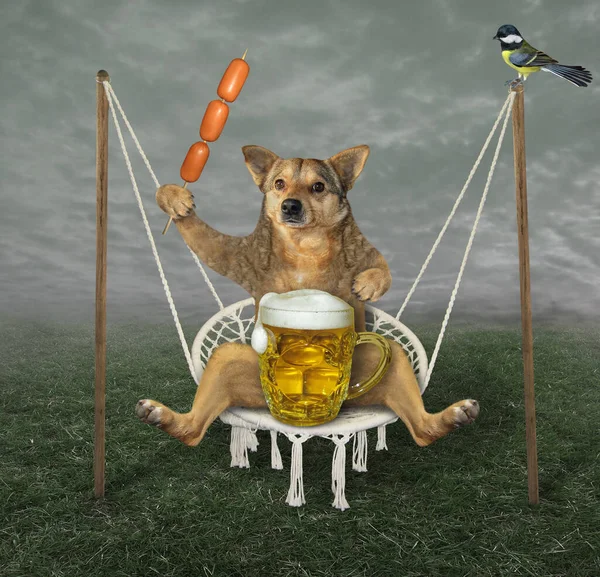 Beżowy Pies Dużym Kubkiem Jasnego Piwa Kiełbasą Szaszłyk Kołysze Się — Zdjęcie stockowe