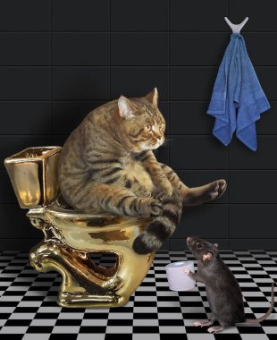 Bej kedi banyoda altın bir klozetin üzerinde oturuyor. Siyah bir sıçan ona bir rulo tuvalet kağıdı verir..
