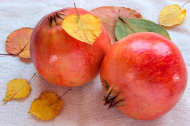 Nar ve sonbahar yaprakları beyaz arka plan üzerinde. 