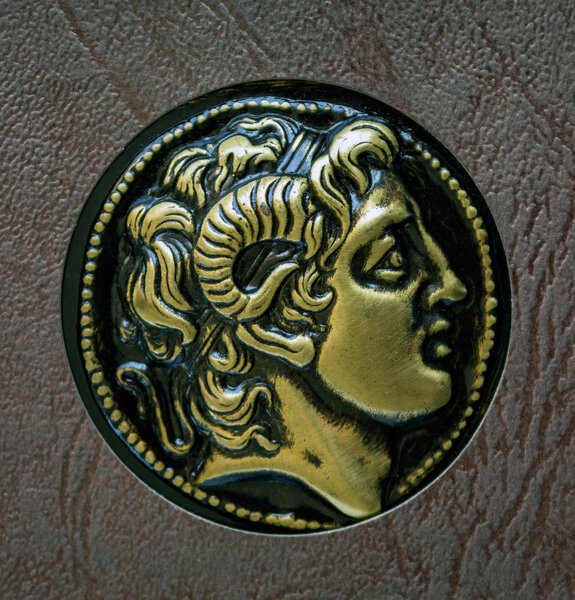 Пчела собирает пыльцу с цветов
. 