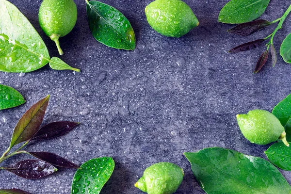 Groene vruchten van citroen en bladeren met waterdruppels tegen de donkere steen. — Stockfoto