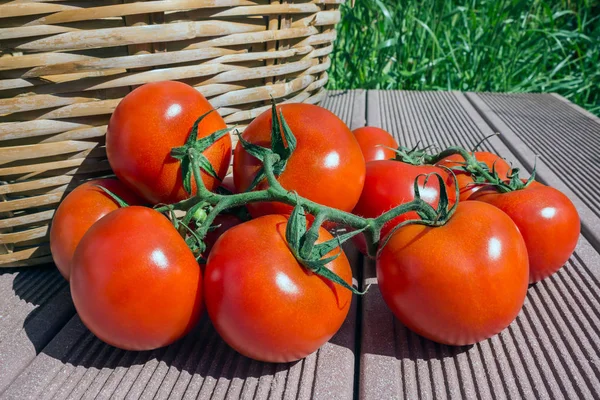 The branch with the tomatoes next to the wicker basket.