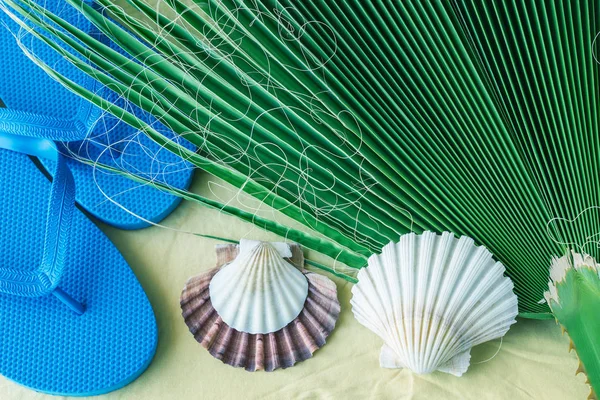 Summer sandals, sea shells and palm leaves on a light background