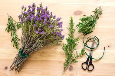 Bir buket çiçek açan kekik. Rosemary. Baharat. 