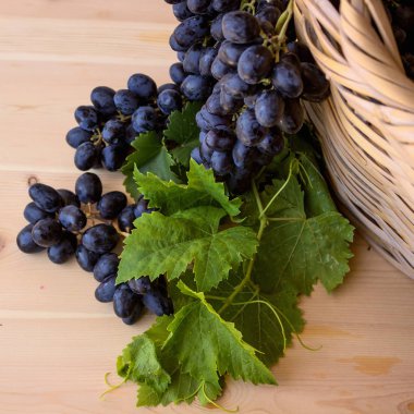 Sepet içinde karanlık üzüm. Yaz. Hasat. 