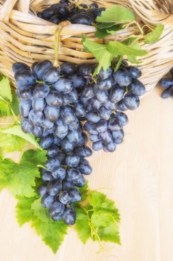 Sepet içinde karanlık üzüm. Yaz. Hasat. 