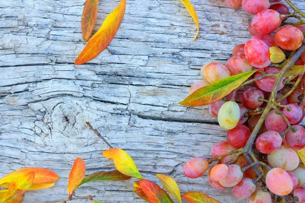 Ripe grapes and fallen leaves on old wooden table. — Stock Photo, Image