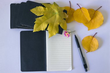 Beyaz bir arka planda notlar ve sarı yaprakları için siyah not defteri.