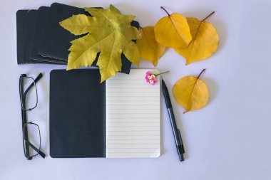 Beyaz bir arka planda notlar ve sarı yaprakları için siyah not defteri.