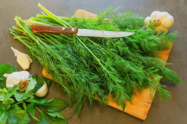 Bir kesme tahtası üzerinde taze otlar. Sonraki bir bıçak ve baharatlar cam kavanozda olduğunu.