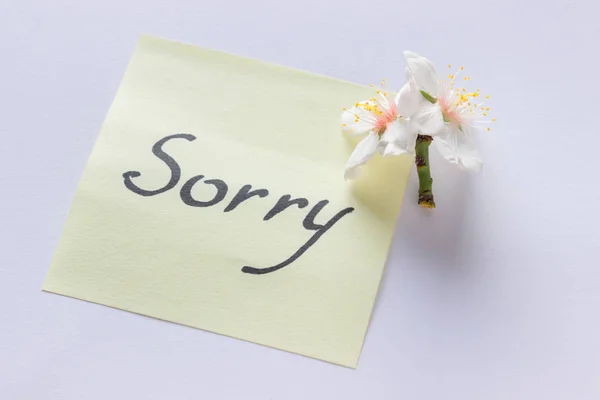 Χειρόγραφη Σημείωση - συγνώμη. Μικρή λεπτή λουλούδια λευκά αμύγδαλα. — Φωτογραφία Αρχείου