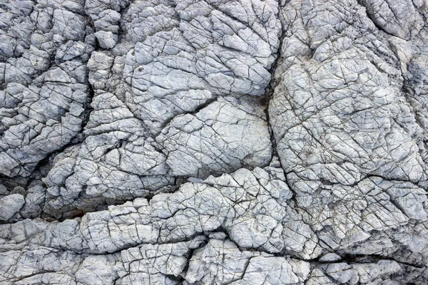 Υφή της φυσικής πέτρας. Βράχος στη θάλασσα με πολλές ρωγμές. — Φωτογραφία Αρχείου