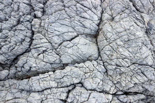 Konsistens av natursten. Sea rock med en hel del sprickor. — Stockfoto